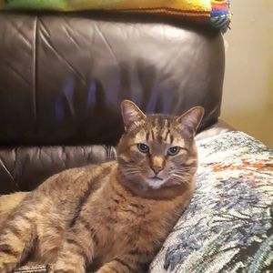 Meet your Posher, Sandra